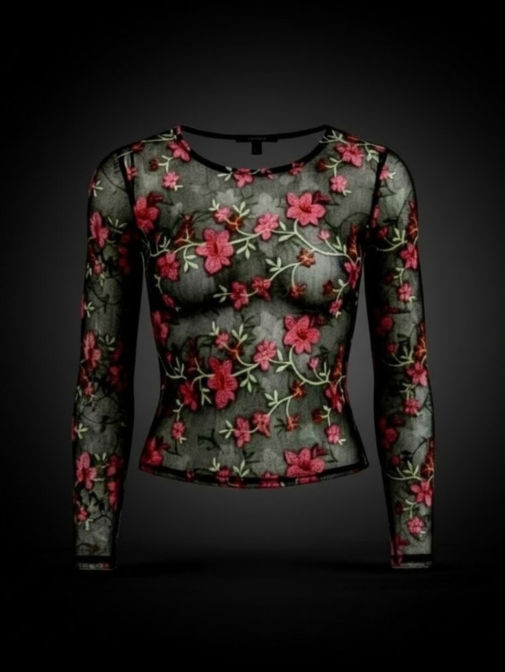 FOREVER 21 Sheer Black Floral Embroidered Long-Sleeve Top
